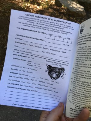 Yosemite National Park Bear Incident Report Form