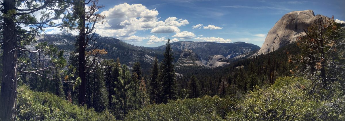 A view of Yosemite Valley and Half Dome from my campsite on Night One